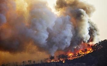 Major Wildfires Destroy the Stratospheric Ozone