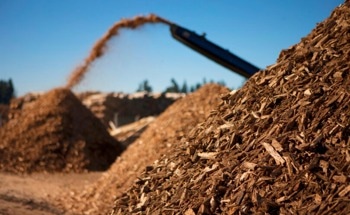 Switching to Woody Biomass in Power Plants to Reduce Carbon