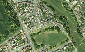 Bluesky’s Tree Map Helps Green Infrastructure Planning for Housing in Swansea