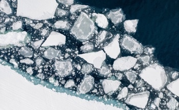 了解海冰对气候变化的响应
