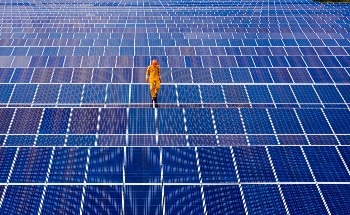 Renewable Energy Sector Faces a Quandary on Australia's Disposal of 80 Million Solar Panels
