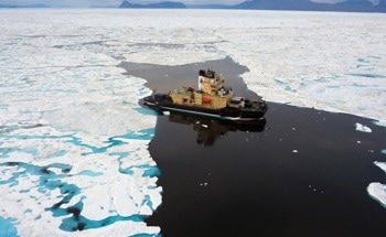 Arctic Sea-Ice Likely to Melt in the Coming Decades