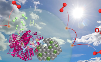 Producing Green Hydrogen Using Sustainable Catalysts