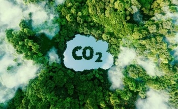 Understanding the Global Climate-Carbon Feedback