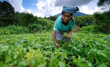 Urgent Investment in Rural Areas is Needed to Safeguard Global Food Security Says UN’s IFAD