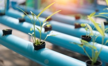 Transforming Plants Into Key Drivers of Decarbonization