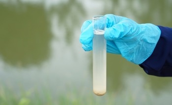 Bio-Inspired Membranes, A Sustainable Approach to Water Pollution