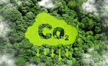 Sustainability Restrictions Required for CO2 Removal