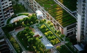 Green Roofs Reduce Energy Use and Fight Regional Climate Change