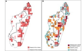 New Data Informs Conservation Strategies in Madagascar