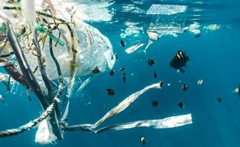 New Report: The Oceans Are Drowning In Single Use Plastics