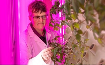 New Lab Simulates Future Conditions to Breed Heat-Resistant Crops