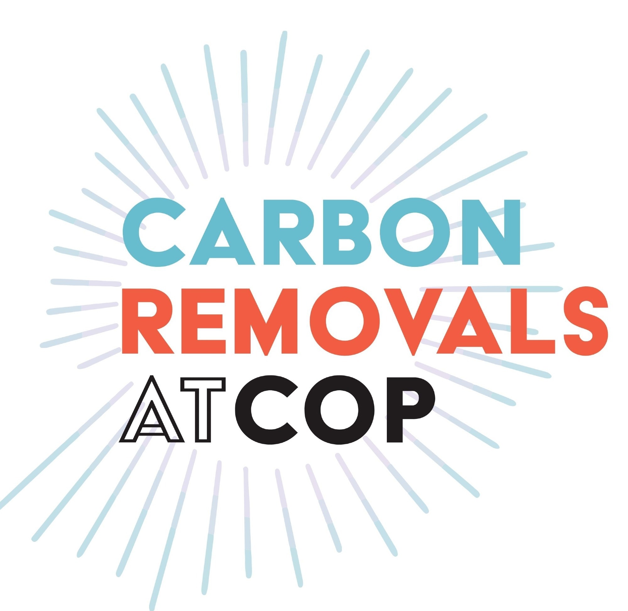 Carbon Removals at COP